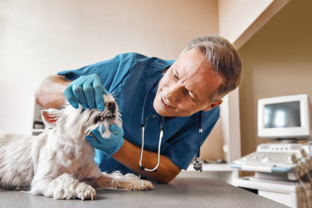 Best Walk-In Emergency Dentist in Trinity, TX